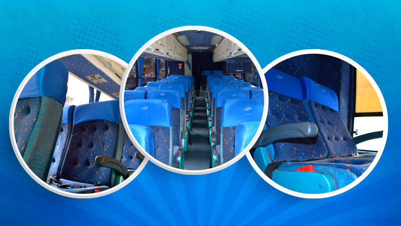 Cochebala silletería